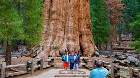 Sequoia National Park, California holiday accommodation: short-term ...