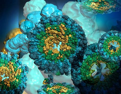 Molecular Structure of Protein Hemocyanin Stock Illustration ...