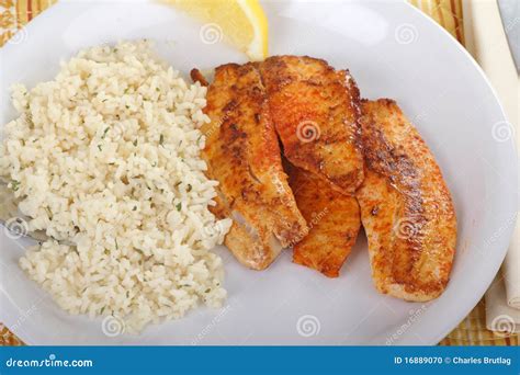 Fish Fillet Dinner stock photo. Image of dinner, white - 16889070