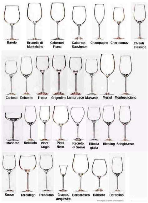 Look, swirl, smell, sip - types of wine glasses and their uses - Tracye ...