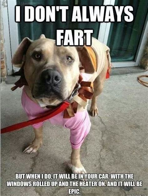 Dog fart meme : DogfartWoof