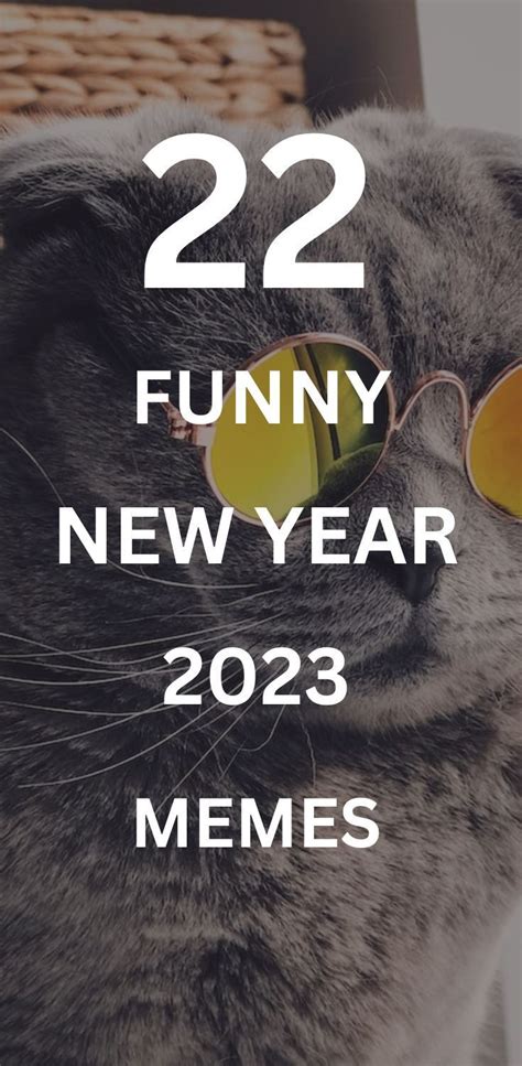 22 Funny New Year Memes 2023 | Hilarious Images