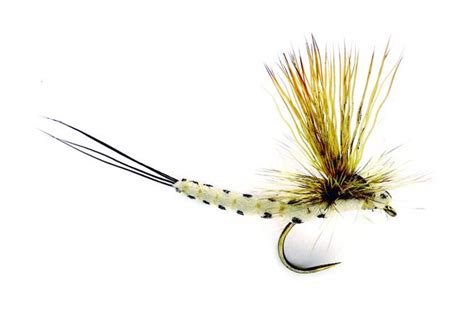 Top 10 Dry Flies for Trout | adh-fishing