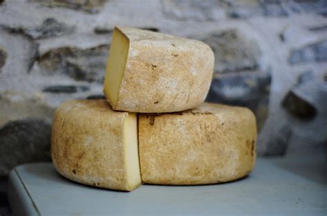 Why this maggot-infested cheese is considered a delicacy in Sicily ...