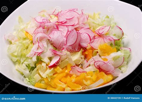 Bowl with mixed salad stock photo. Image of bowl, vegetarian - 38442720