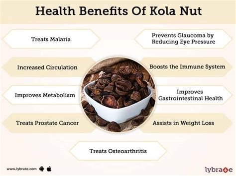 Benefits of Kola Nut And Its Side Effects | Lybrate