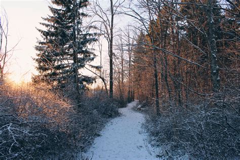 Swedish Winter Wonderland | Study in Sweden: the student blog