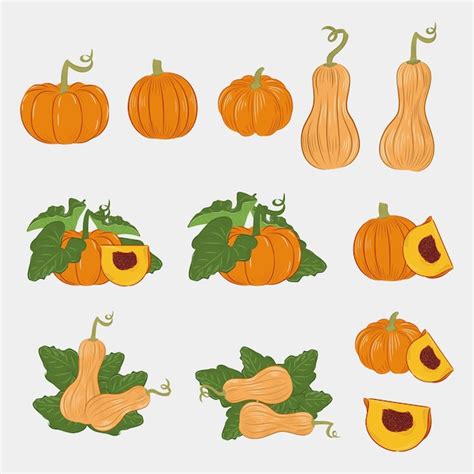 Premium Vector | Pumpkin clip art autumn season