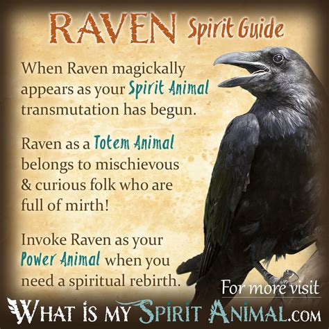 a raven sitting on top of a tree branch with the words raven spirit ...