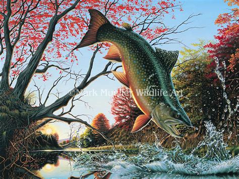 Brook Trout Painting by Wildlife Artist Mark Mueller