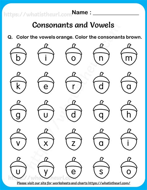 Vowels And Consonants Worksheet