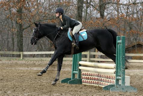 Black Horse Jumping at horse show by HorseStockPhotos on DeviantArt