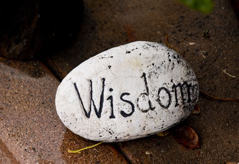 Wisdom Free Stock Photo - Public Domain Pictures