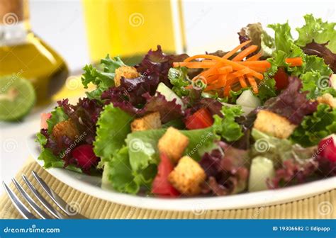 Fresh Salad with Croutons stock photo. Image of healthy - 19306682