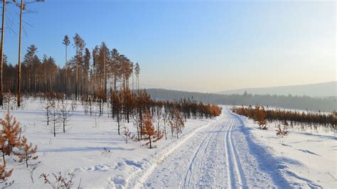 Could climate change make Siberia more habitable? | Mirage News