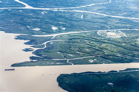 The subtropical river system just 30 minutes from Buenos Aires | Rough ...