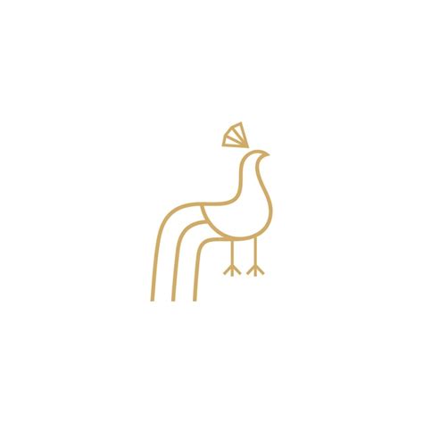 Premium Vector | Peacock logo in minimalist and simple line art style