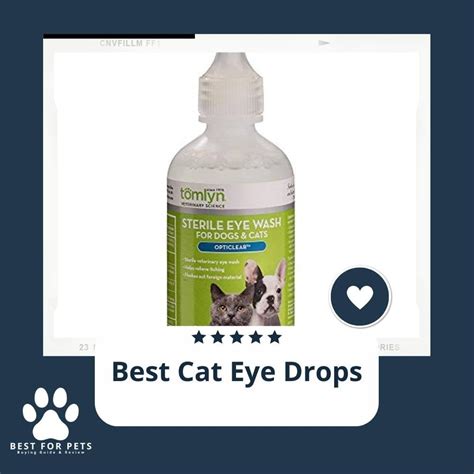 How To Buy The Best Cat Eye Drops - BestForPets.org