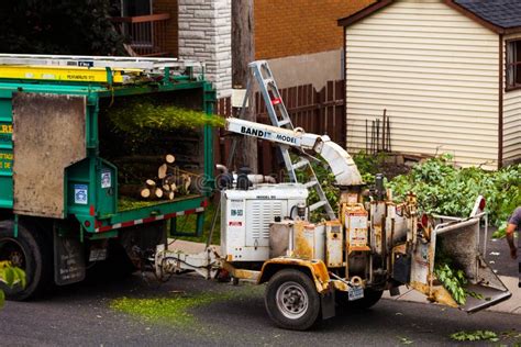 Tree Shredder Machine in Action and Workers Pushing Branches Int ...