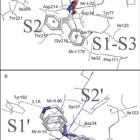 Structures and synthetic data of hydrazide and hydrazine derivatives ...