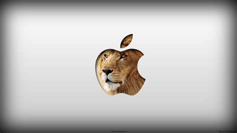 🔥 [50+] OS X Lion Desktop Wallpapers | WallpaperSafari