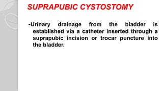 Supra pubic cystostomy | PPT