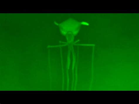 Thalassophobia: Haunting Alien-like Giant Squid