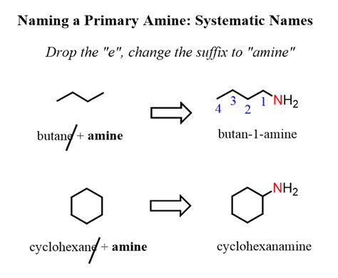 Naming Amines: Systematic and Common Nomenclature - Chemistry Steps