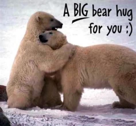 A Big Bear Hug For You - DesiComments.com