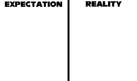 Expectation vs Reality meme template (Free to use) by ...