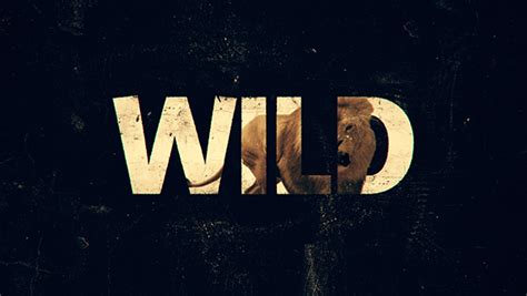 NAT GEO WILD Big Cat Week // Promo Package on Behance