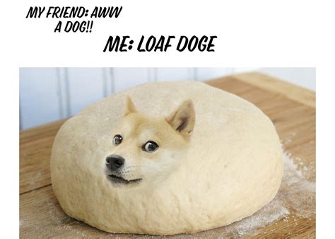 Loaf Doge - Meme by 3LL4 :) Memedroid