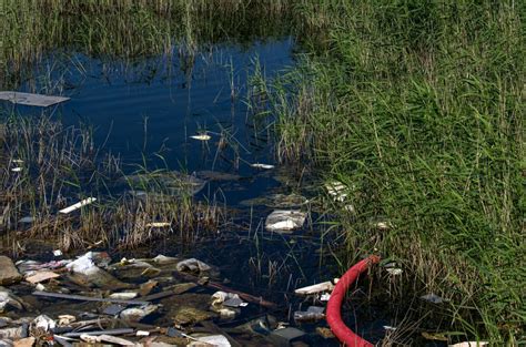 What is Groundwater Pollution, and How Can it be Prevented? - Green Coast