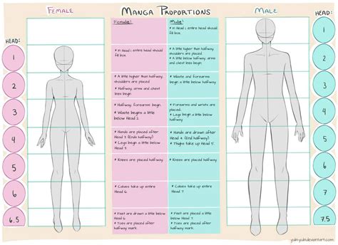 How To Draw Anime Male Body Proportions