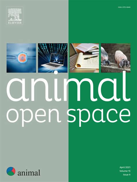 animal – open space – animal Journal