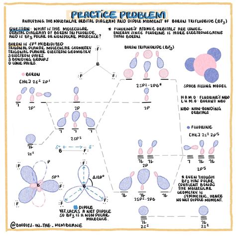 orbital diagram of boron - MalcolmJaydan