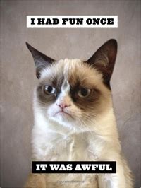 Grumpy Cat: A Grumpy Book | Grumpy Cat Book | In-Stock - Buy Now | at ...