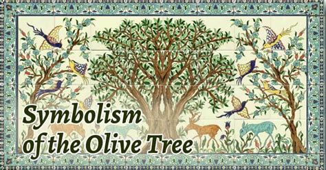 Olive Tree Symbolism