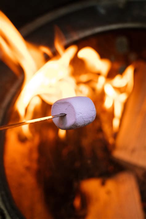 Are Marshmallows Gluten Free? - Ditch the Wheat