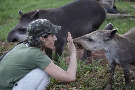 LTCI - Lowland Tapir Conservation Initiative