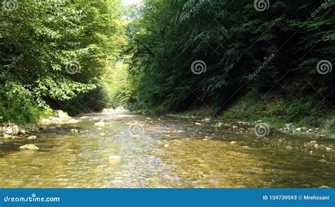 Forest River in Hyrcanian Forests of Iran Stock Image - Image of iran ...