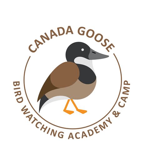 Canada Goose - Bird Watching Academy