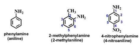 Nomenclature of Simple Aromatic Compounds - Chemistry, Class 11 ...