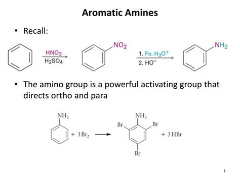 PPT - Aromatic Amines PowerPoint Presentation, free download - ID:6233421