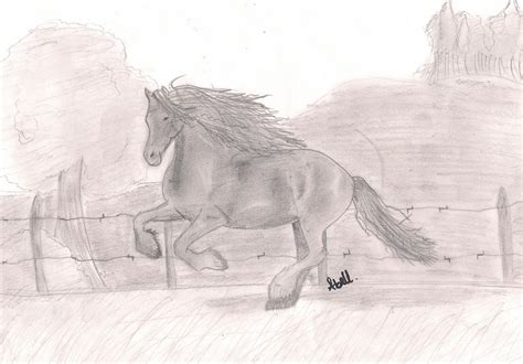 Friesian Horse Sketch by Axelover09 on DeviantArt