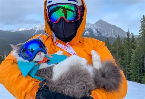 Gary the Cat | GearJunkie