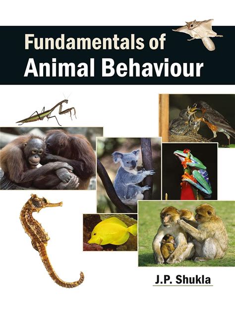 Buy Fundamentals Of Animal Behaviour Book Online at Low Prices in India ...