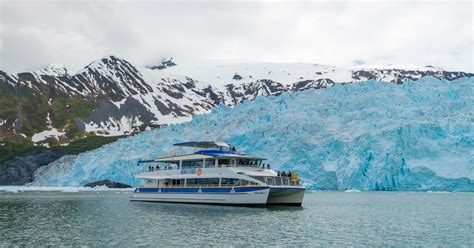 Kenai Fjords National Park Glacier and Wildlife Cruise | musement