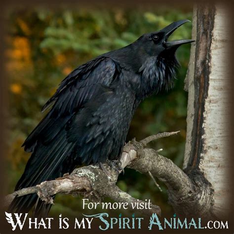 What Do Dreams About Raven Mean? - What Is My Spirit Animal | Spirit ...