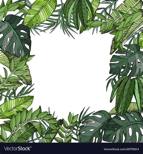 Jungle Plants Vector